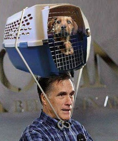 romneyhathfrhfdhfhf