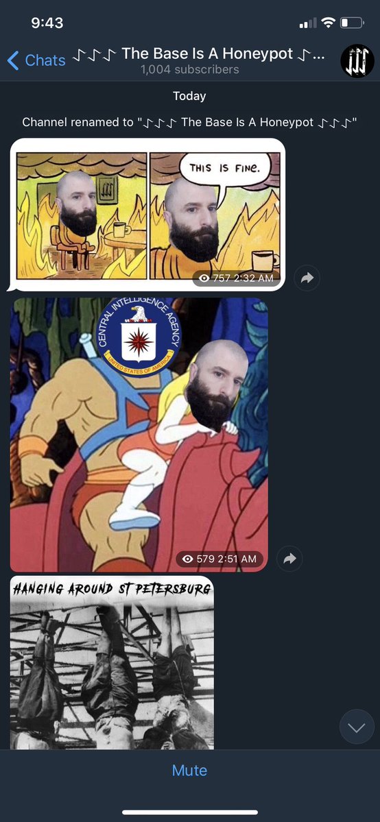 A screenshot of a Telegram chat titled 'The Base Is A Honeypot'. It contains memes featuring a bald man with a thick black beard superimposed onto various images, including the 'This is fine' comic and a He-Man character with a CIA logo. A third image shows bodies hanging upside down with the caption 'HANGING AROUND ST PETERSBURG'.