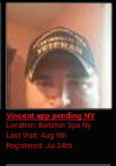 A low-resolution screenshot of a profile for a user named Vincent from Ballston Spa, NY. The profile includes a photo of a man wearing a 'VETERAN' baseball cap and text details about his location and registration status.