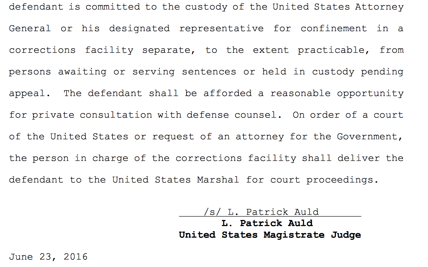 A snippet of a legal document signed by United States Magistrate Judge L. Patrick Auld on June 23, 2016, regarding the custody of a defendant.