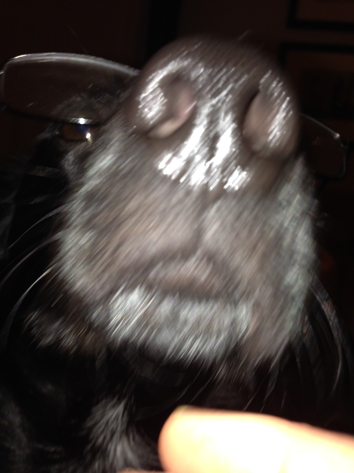 Lamont and his renowned nose