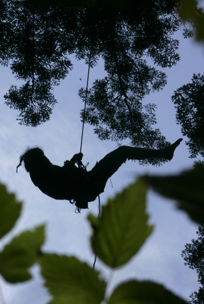 A silhouette of a person with long hair rappelling from a rope in a forest, viewed from below against a light sky.