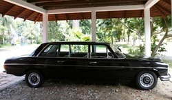 A classic 1973 Mercedes Benz Stretch Limousine parks on garden of a hotel in front of Royal Palace in Phnom Penh, Cambodia Oct. 28, 2007. Car collectors with macabre tastes now have a chance to own a limousine used by Pol Pot, the late chief of Cambodia's notorious Khmer Rouge. (AP Photo/Heng Sinith)