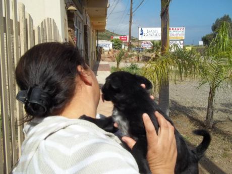 Laomont making a new friend in Mexico while incarcerated in Mexico waiting to make his break to seek a better life