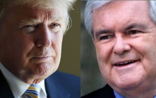 trump newt